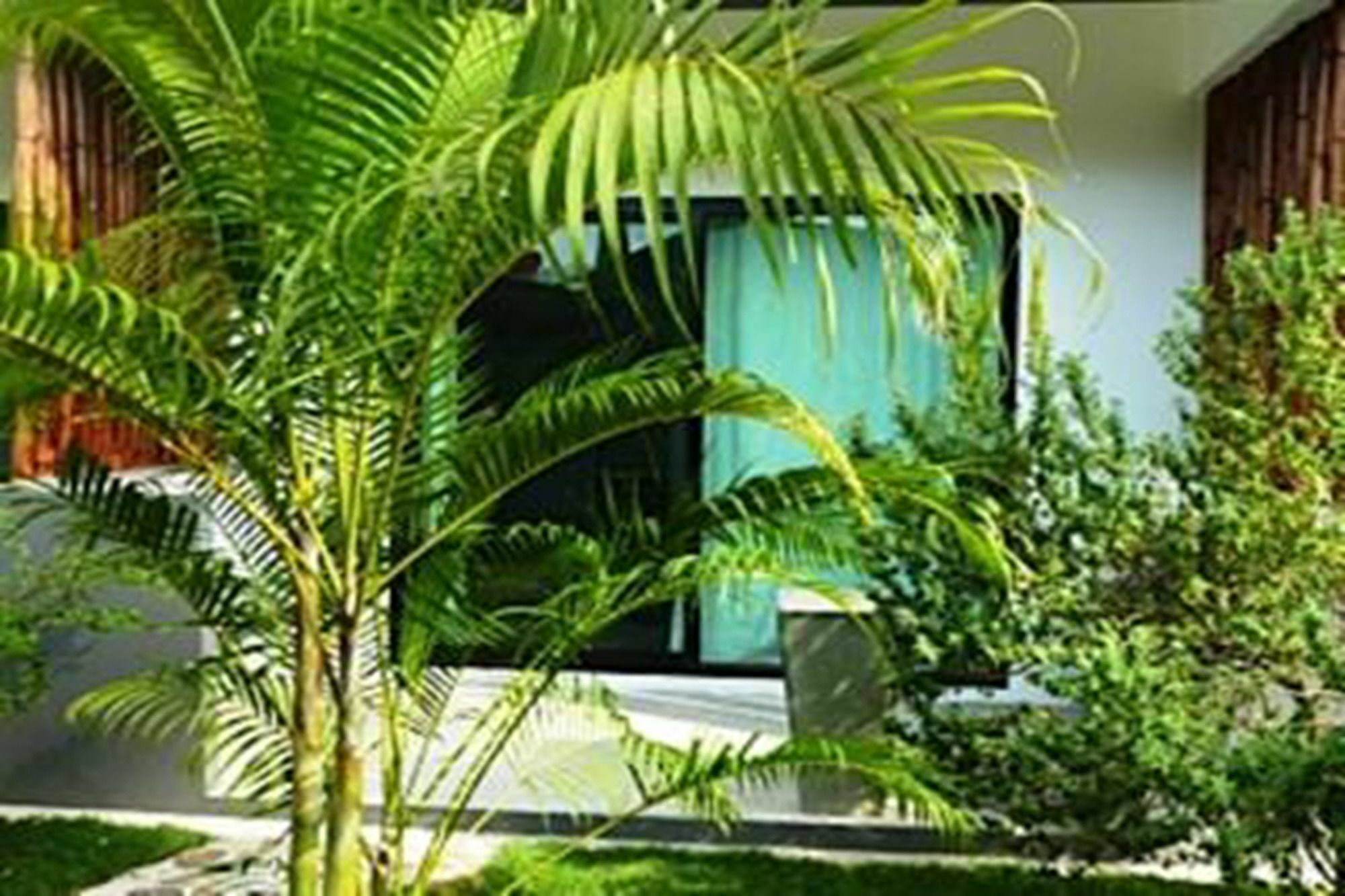 Sairee Sairee Guesthouse Ko Tao Exterior foto