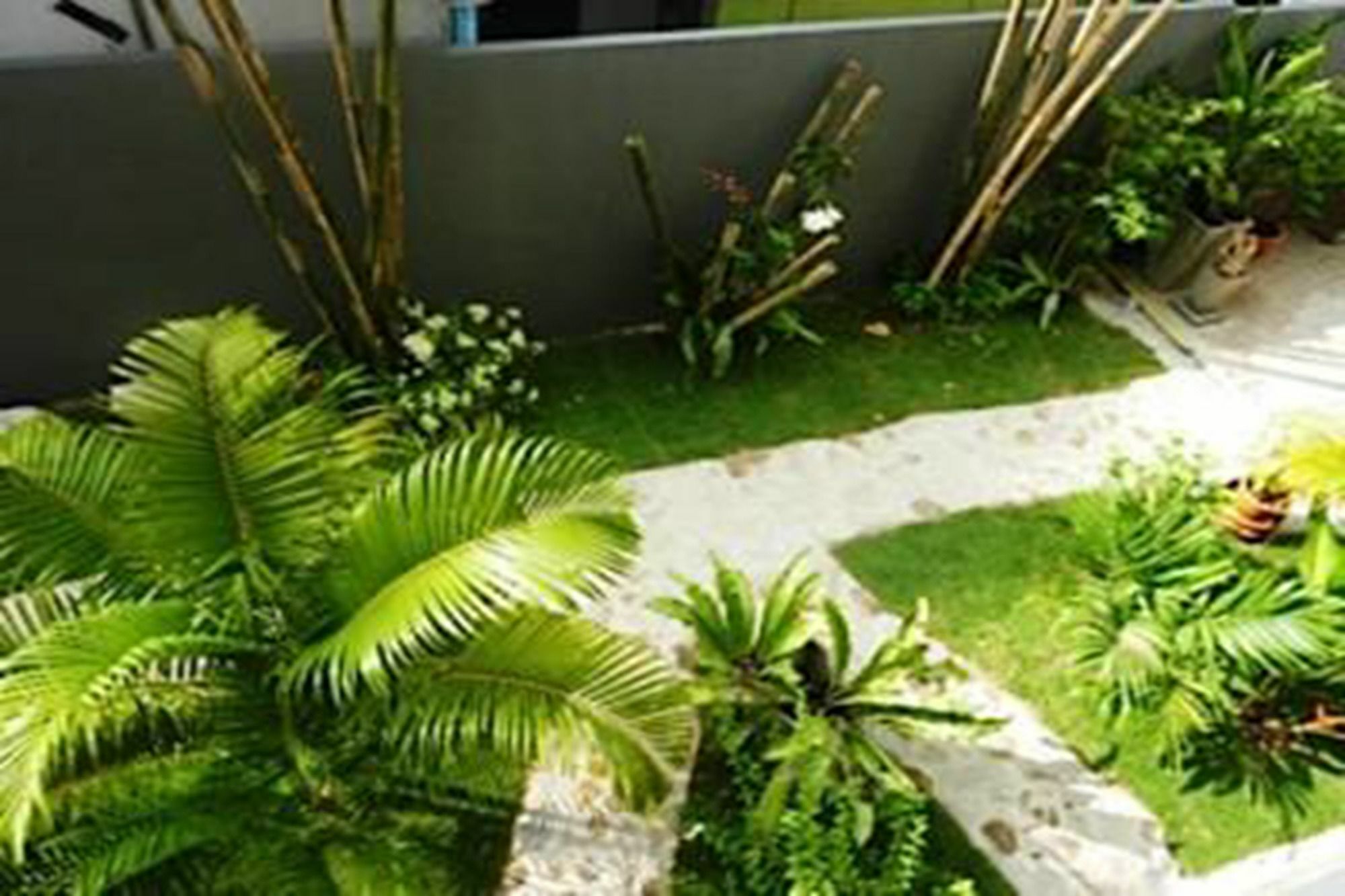 Sairee Sairee Guesthouse Ko Tao Exterior foto